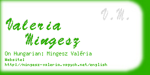 valeria mingesz business card